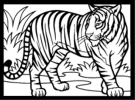 jungle tigers coloring book pages